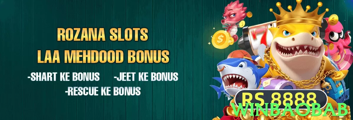 winbaobab Pakistan - 3